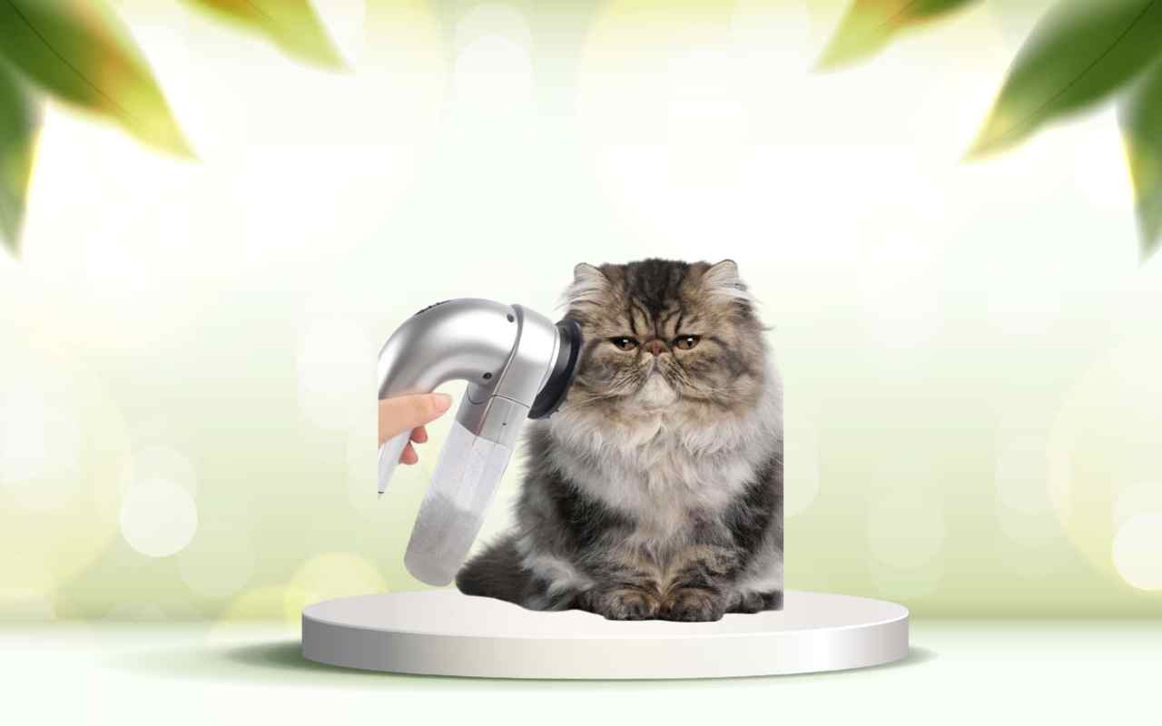 Elimina i peli degli animali con SpazzolAmica: comfort e pulizia in un solo gesto